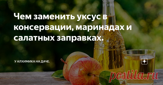 Чем заменить уксус в консервации, маринадах и салатных заправках. Уксус – приправа, известная с древности. Получают его из сырья, содержащего спирт, в процессе брожения с участием уксуснокислых бактерий. Содержит различные кислоты: собственно, уксусную, а также лимонную, яблочную, виннокаменную и ещё множество других.
Чем заменить уксус
Уксус активно используется при консервировании, мариновании, его добавляют в салаты и супы. Он придаёт пикантность, оттеняет вк