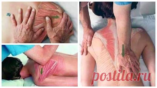 Эти картинки сделают вас профи в массаже! | Golbis