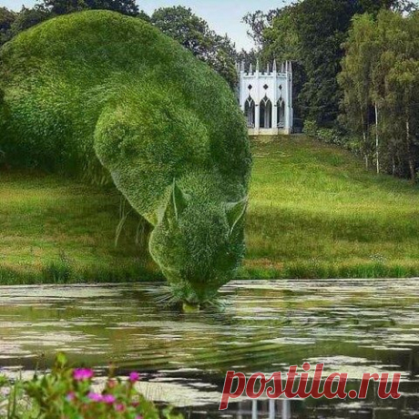 (1) &quot;сад Души&quot;