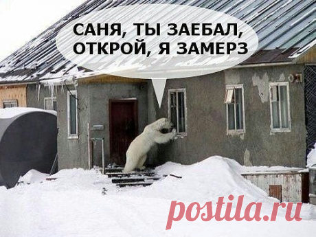 (99) Одноклассники