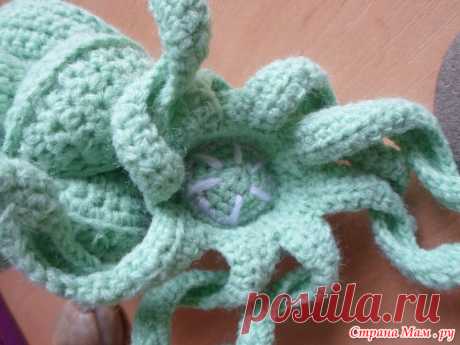 развивашки: Фото альбомы - Страна Мам