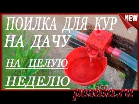 Автономная поилка для кур, на неделю!!! Как сделать поилку для птиц. Чашечная поилка.