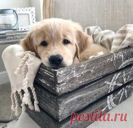 Всем Доброе утро! Пусть Вас окружает столько Нежности, Красоты и Счастья, сколько способно вместить ваше Сердце...

#oriflame #доброе_утро #вдохновение_цветом #позитив