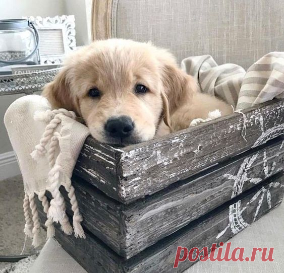 Всем Доброе утро! Пусть Вас окружает столько Нежности, Красоты и Счастья, сколько способно вместить ваше Сердце...

#oriflame #доброе_утро #вдохновение_цветом #позитив
