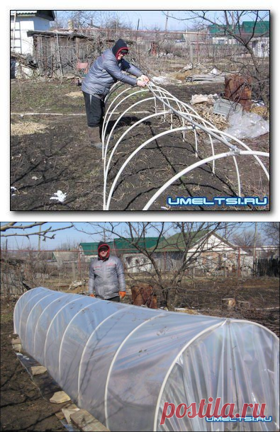 Парник из пластиковых труб своими руками