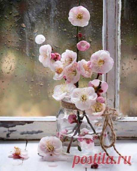 ༺🌸༻Я качаюсь на чем-то. На чем - неизвестно.
Между "все надоело" и "жить интересно".
Между "жду - не дождусь" и "не жду ничего".
Между "вот оно счастье" и "нету его".
Между "только б заря поскорее настала"
И отчаянным выдохом: "Хватит. Устала."
Лариса Миллер