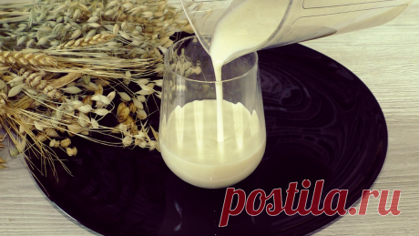 Дорогое растительное молоко в магазине не покупаю, готовлю сама, минимальные затраты и всегда вкусный результат | Красилова Наталья / Food | Яндекс Дзен