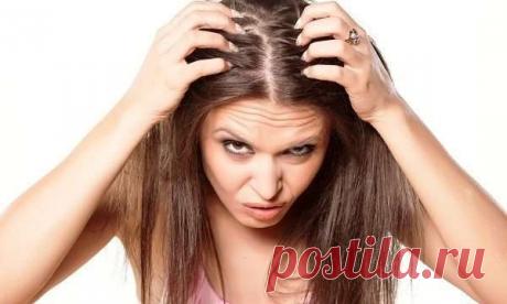 Что делать, если нет времени вымыть голову . Милая Я