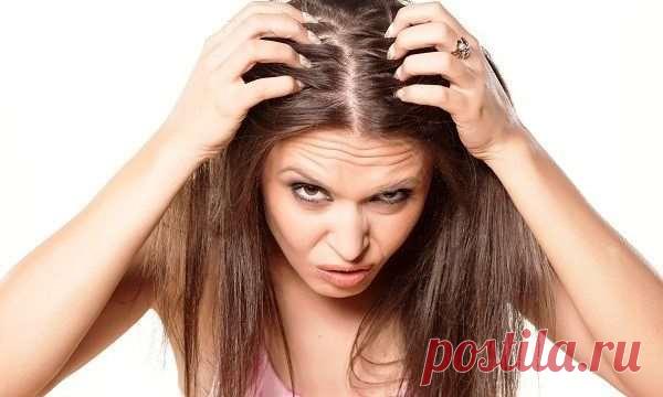 Что делать, если нет времени вымыть голову . Милая Я