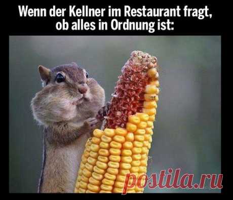 Когда тебя спрашивает официант в ресторане, все ли в порядке 😊 / Изучение немецкого языка