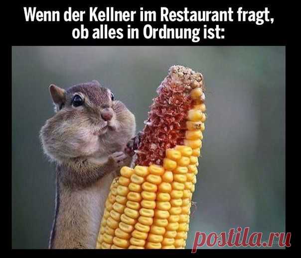 Когда тебя спрашивает официант в ресторане, все ли в порядке 😊 / Изучение немецкого языка