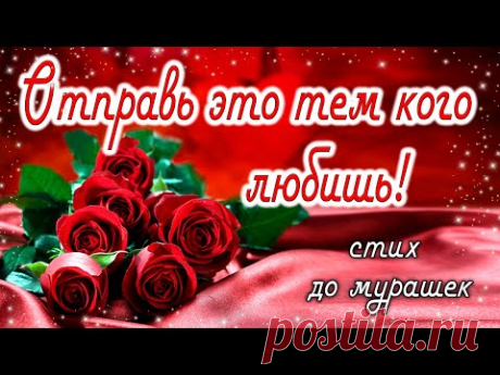 🌹☀️ ДО СЛЁЗ КАК ТРОГАТЕЛЬНО 🌹☀️! ДОБРОЕ УТРО! С Добрым Утром! Музыкальная открытка | СТИХ