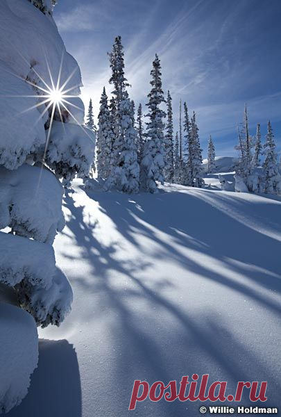Sunburst behind pine tree with long shadows in winter, Deer Valley, Utah favorite - Landscape Nature Photographer Willie Holdman   |  Pinterest • Всемирный каталог идей