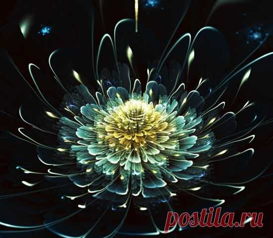 (25) Одноклассники