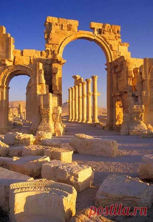 Monumental Arch, Palmyra, Syria  |  Найдено на сайте dstaplesphotography.com.