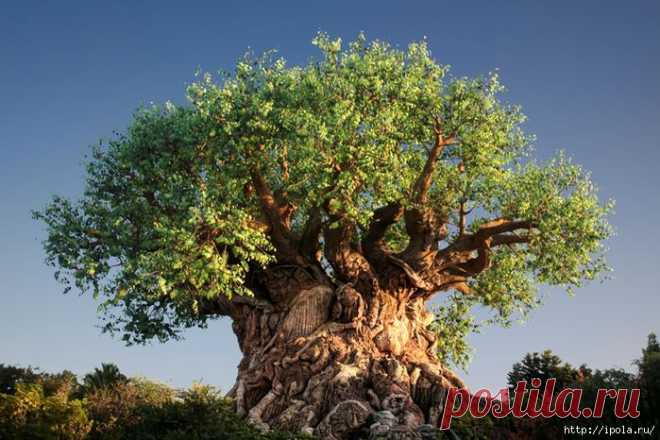 Дерево жизни в Диснеевском Королевстве животных.