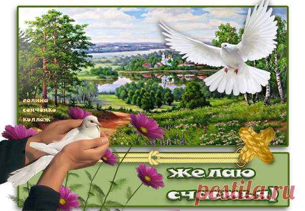 Новости