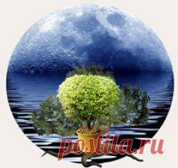 Лунный посевной календарь для Подмосковья на 2017 год: рекомендованные работы по дням и месяцам