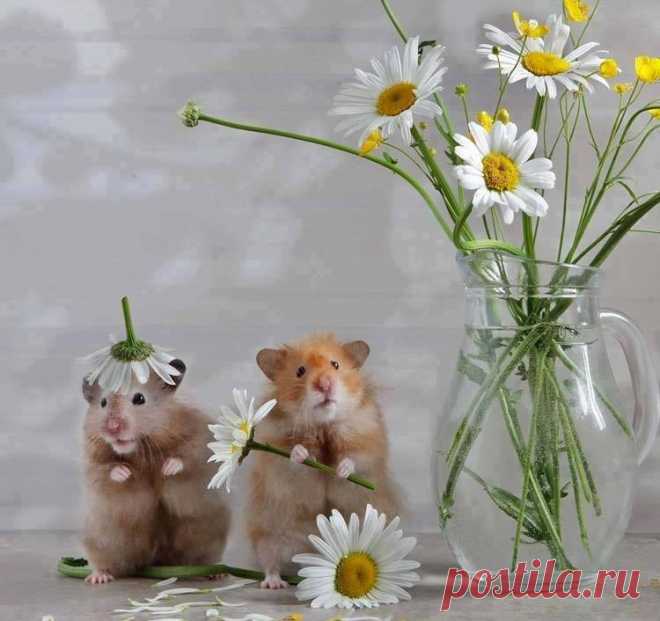 (98) •*Secret Garden *•