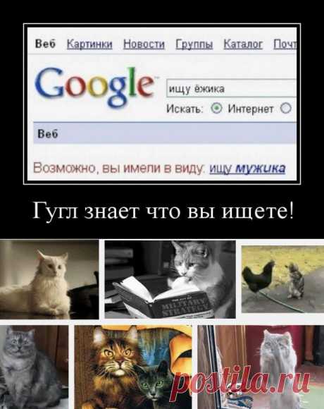 Советы по использованию Google — Делимся советами