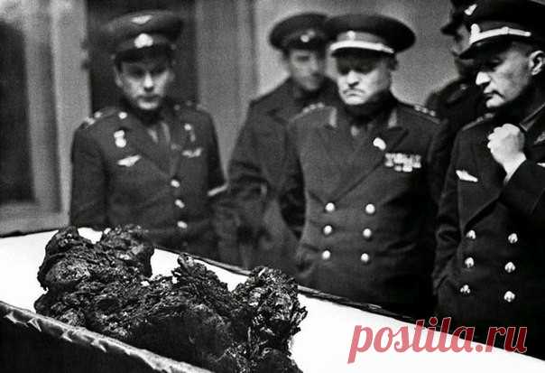 Фотосвидетельства того, чем жили люди последних столетий: Архивы сохранили такие исторические снимки, на которые достаточно только взглянуть - и всё становится ясно без слов