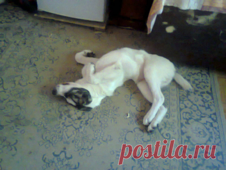 Звезда в обмороке)))