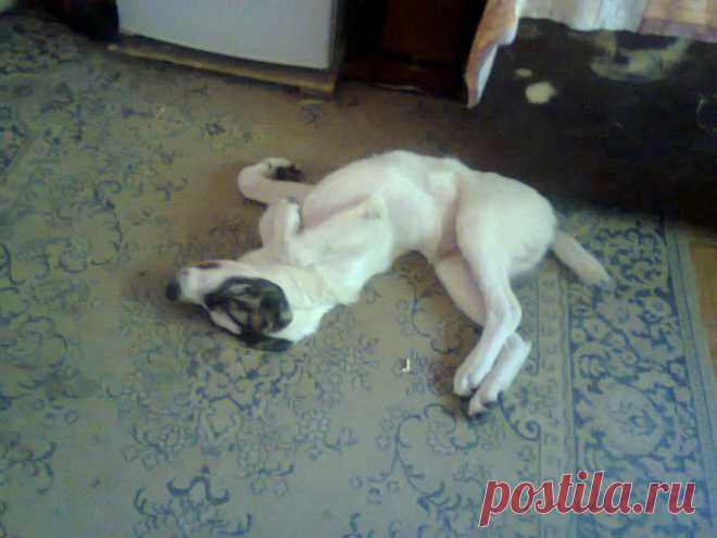 Звезда в обмороке)))