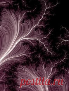 Miqel: Fractal Art Gallery - Generated in Fraxplorer