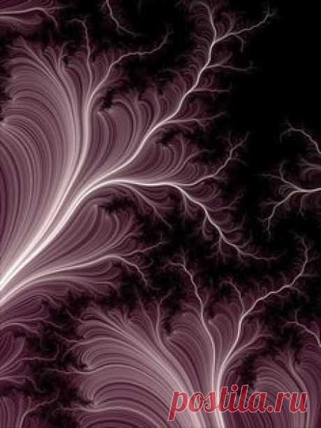 Miqel: Fractal Art Gallery - Generated in Fraxplorer