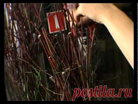 Ботаника. Кашпо из веток