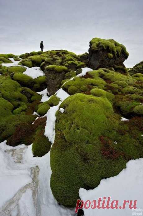 Исландия Исландия — островное государство, расположенное в северной части Атлантического океана. Территория государства состоит из острова Исландия, площадью 103 тыс. км²., и небольших островков около него.