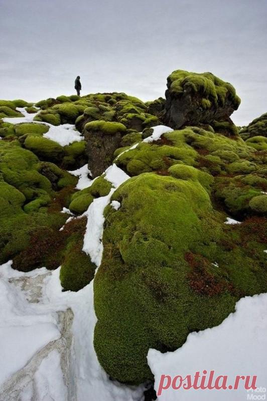 Исландия Исландия — островное государство, расположенное в северной части Атлантического океана. Территория государства состоит из острова Исландия, площадью 103 тыс. км²., и небольших островков около него.