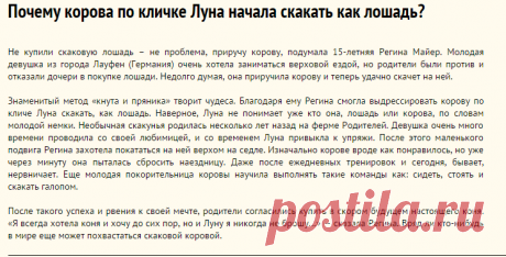 Почему корова по кличке Луна начала скакать как лошадь?