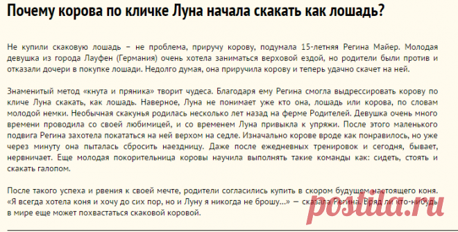 Почему корова по кличке Луна начала скакать как лошадь?