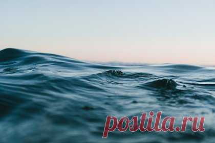 В России испытали волновой и подводный глайдеры. Российское «Научно-производственное предприятие подводных технологий (НПП ПТ) «Океанос» успешно испытало волновой и подводный глайдеры собственной разработки. «Океанос» и СПбГМТУ представили совместный доклад о разработке и опытной эксплуатации морских робототехнических средств типа «глайдер».