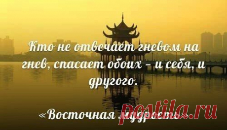 Цитаты, умные мысли / Pinme