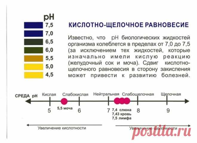 Признаки закисления организма. Как измерить рН слюны и мочи