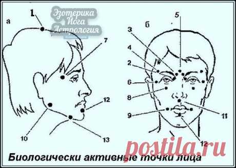 Биологически активные точки на голове — ваша скорая помощь ! 

Японский метод «шиатсу» — воздействие на точку надавливанием большого указательного пальца руки. Он может быть использован в сочетании с вращательными движениями в области выбранной точки — по часовой и против часовой стрелки. 

Правила. 
Показать полностью…