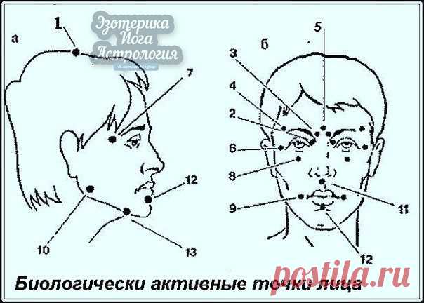 Биологически активные точки на голове — ваша скорая помощь ! 

Японский метод «шиатсу» — воздействие на точку надавливанием большого указательного пальца руки. Он может быть использован в сочетании с вращательными движениями в области выбранной точки — по часовой и против часовой стрелки. 

Правила. 
Показать полностью…