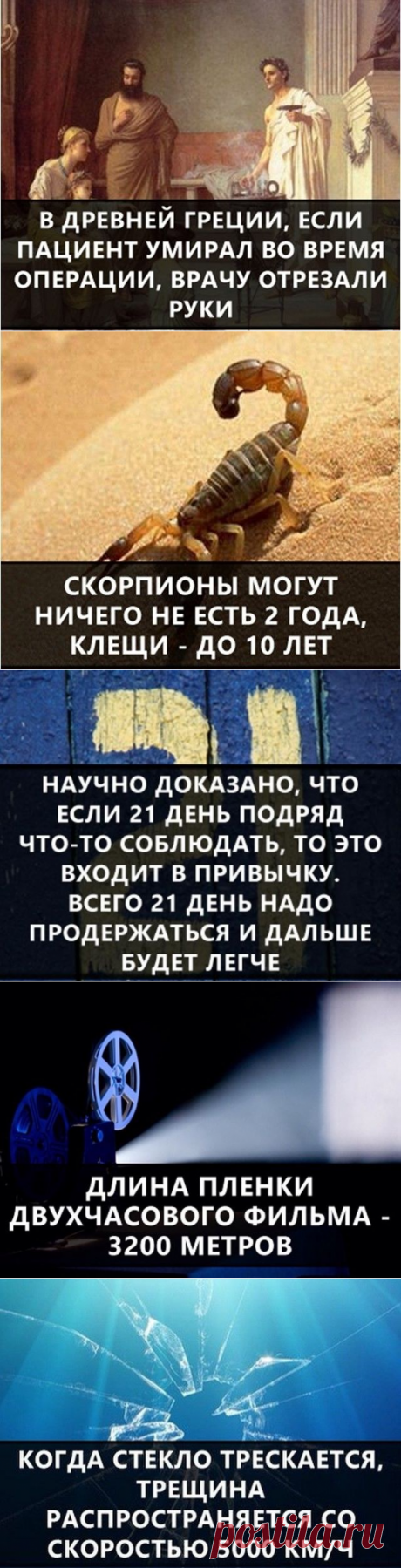 Интересные факты которые вас удивят