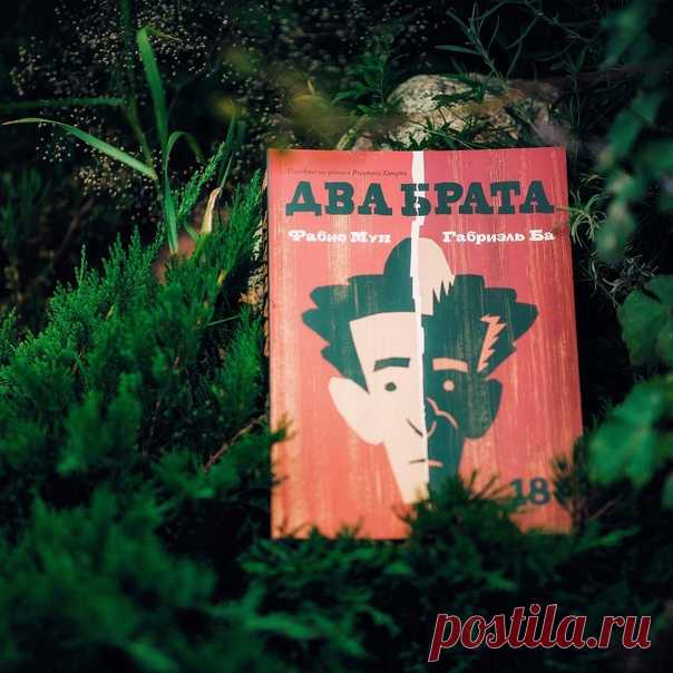 Сегодня в рубрике #мифчитатель @books_holy_anna рассказывает о комиксе «Два брата» «Очень жизненная история в картинках. В семье ливанских эмигрантов родились близнецы. Но Якуб и Омар оказались очень разные по характеру. В детстве Якуба одного отправили на пять лет в Ливан, а Омар остался с мамочкой. Якуб стал преуспевающим инженером, а из Омара мать сделала никчемного лентяя, ещё и отваживая от него всех девушек. История заканчивается довольно трагически. Оба брата покалечены родителями,…