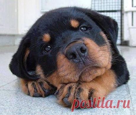 Интересные новости