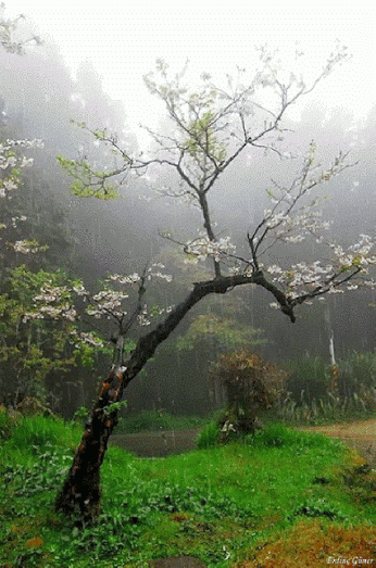 Beautiful Pictures – Google+