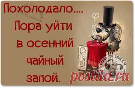 Пост метких фраз