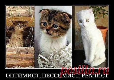 Группа: Смех до слез!