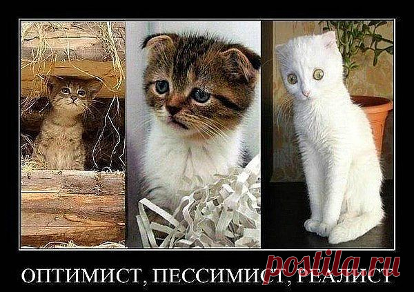 Группа: Смех до слез!