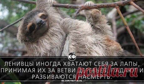5 кратких фактов