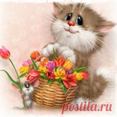 Photo by Психология для души) on April 25, 2020. Image may contain: cat