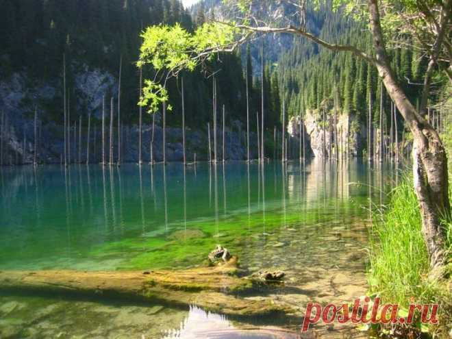 Озеро-дикобраз / Туристический спутник