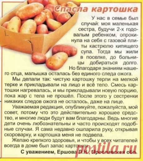 Полезно знать